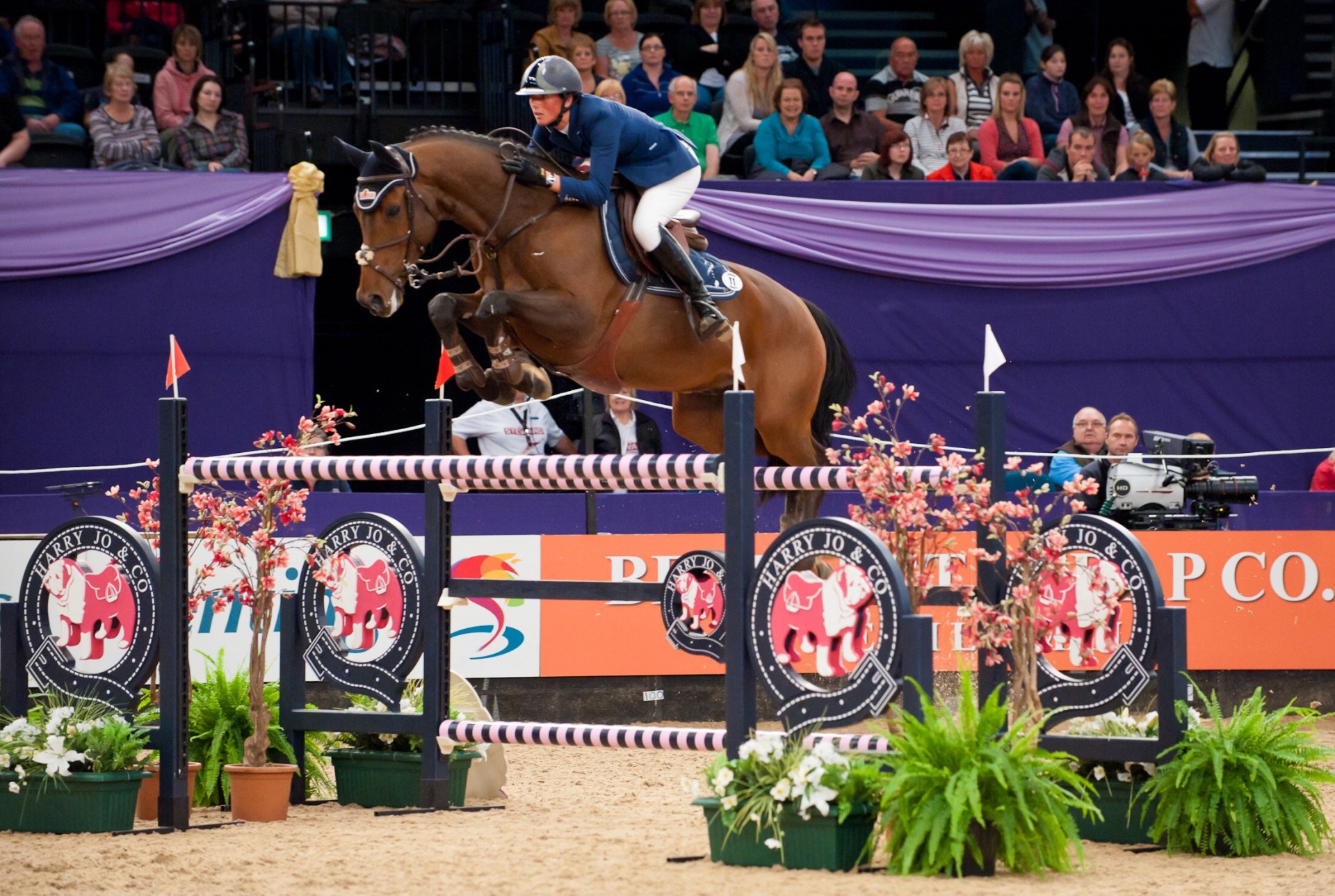 Where did Nico send AWOL?