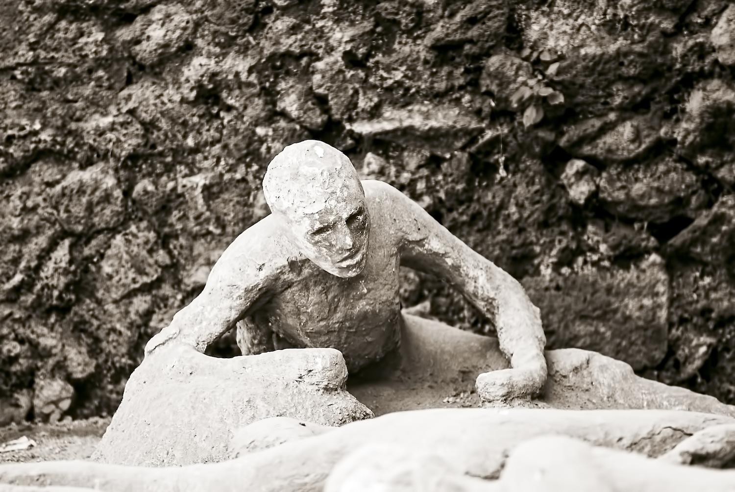 Where did Pompeii survivors go?