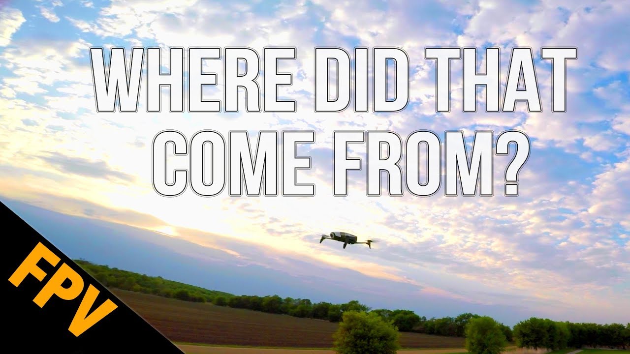 Where did the Benatar come from?