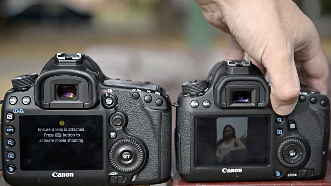 Which is better 6D or 5D Mark III?