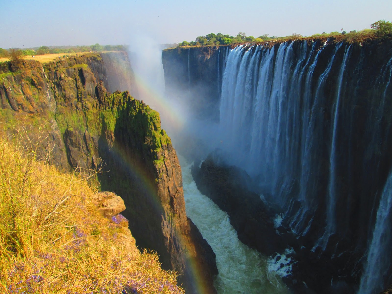 Which is the biggest forest in Africa?