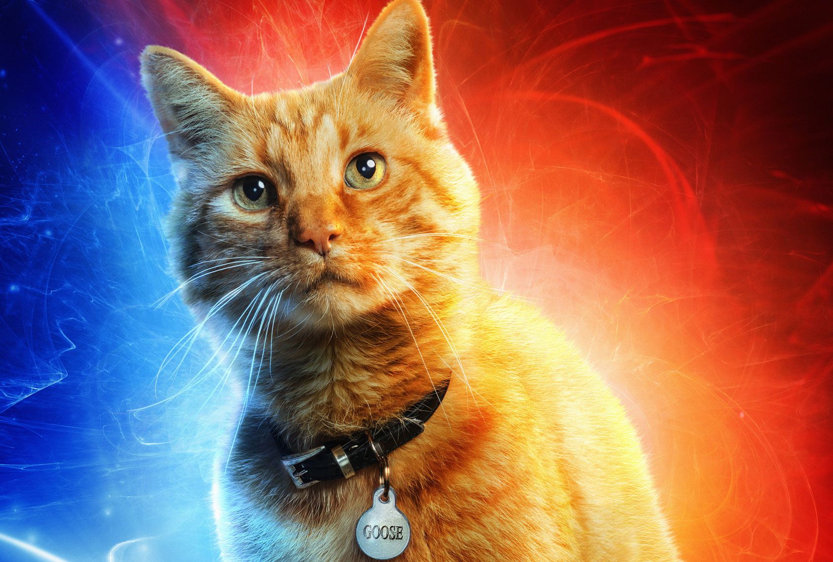Who is Goose the cat Marvel?