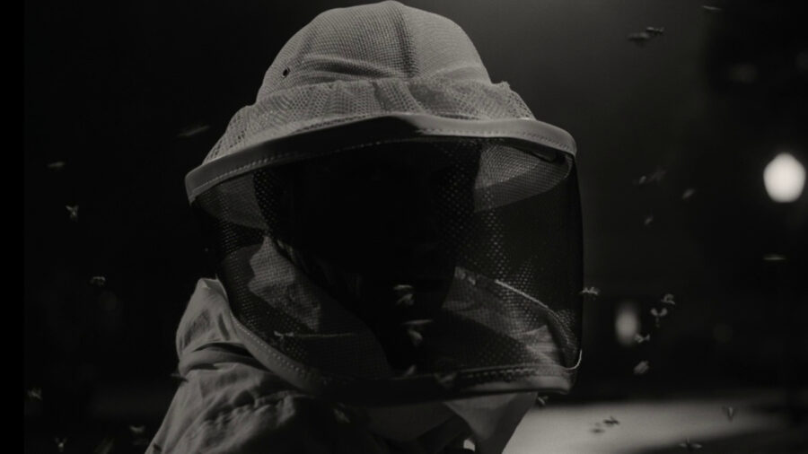 Who is the beekeeper in WandaVision?