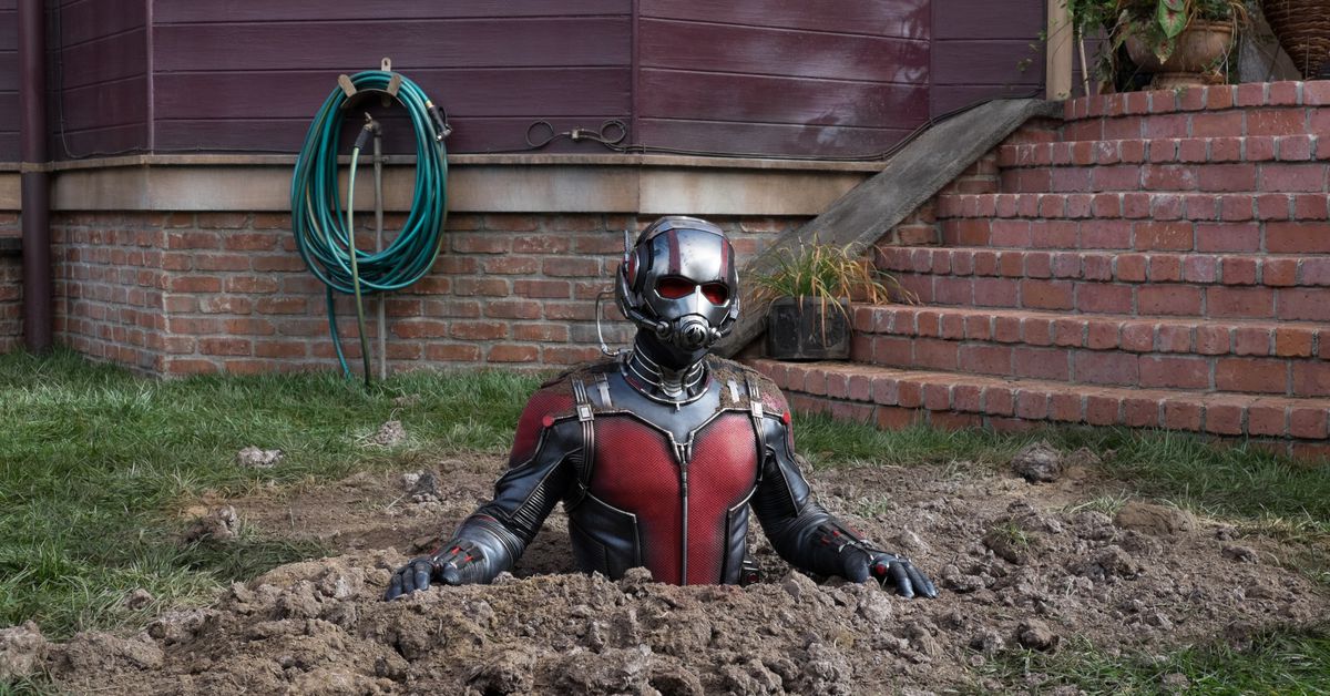 Who kills Ant-Man?
