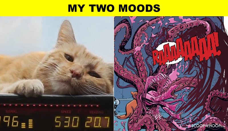 Why did Goose eat the Tesseract?