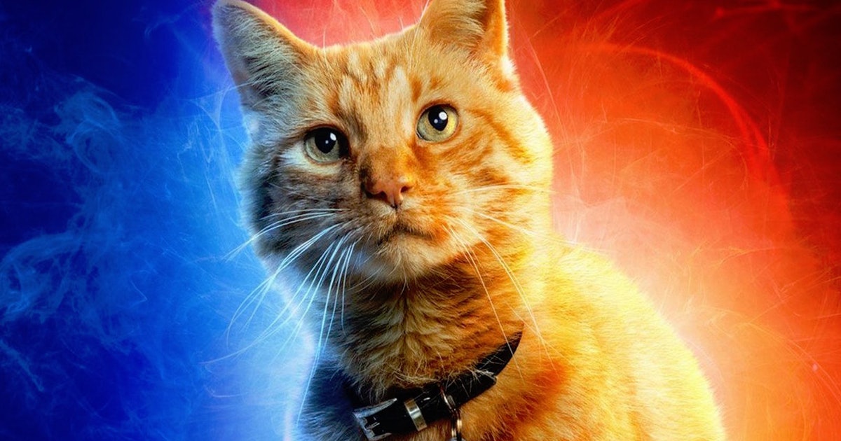 Why is Goose a Flerken?