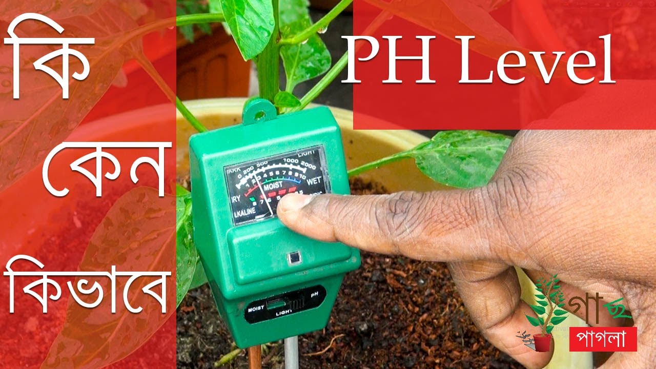 Why is PH in the Tinkerer?