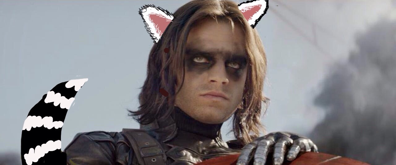 Will Rocket get Bucky's arm?