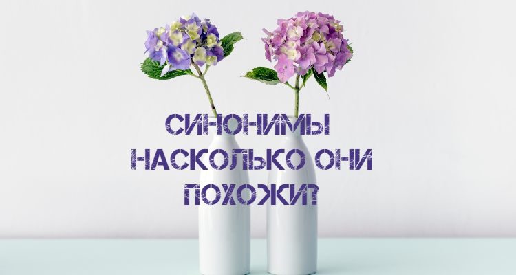 Чем штаты отличаются друг от друга?